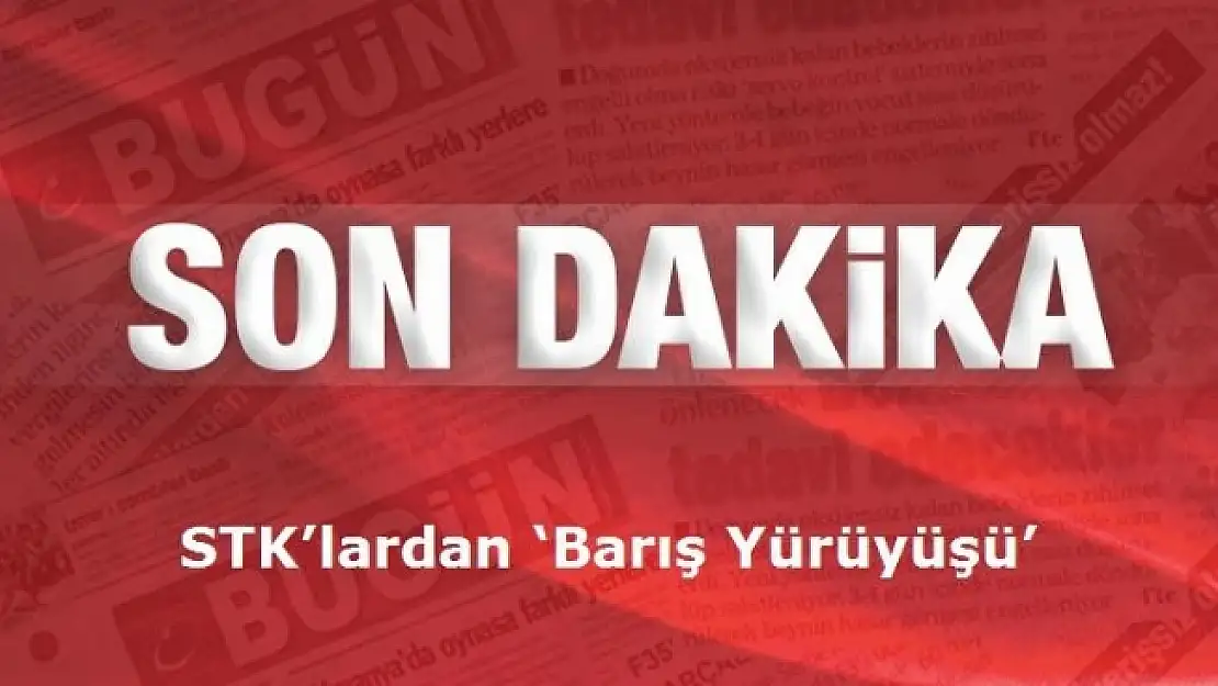 Van'da STK'lar 'Barış İstiyoruz' Diyecek 