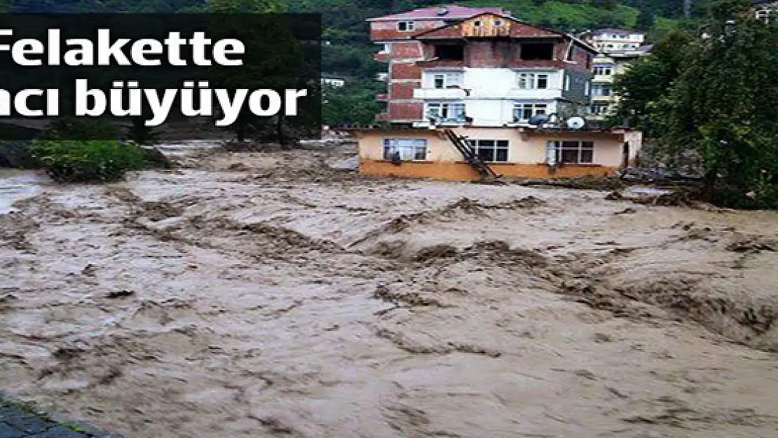 Sele 8 can gitti!