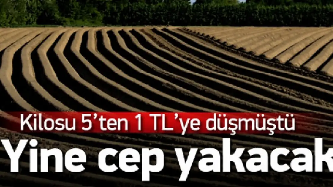 Kilosu 1 TL'ye satılıyordu, şimdi cep yakacak!