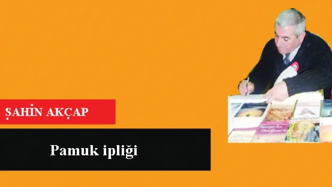 Pamuk ipliği