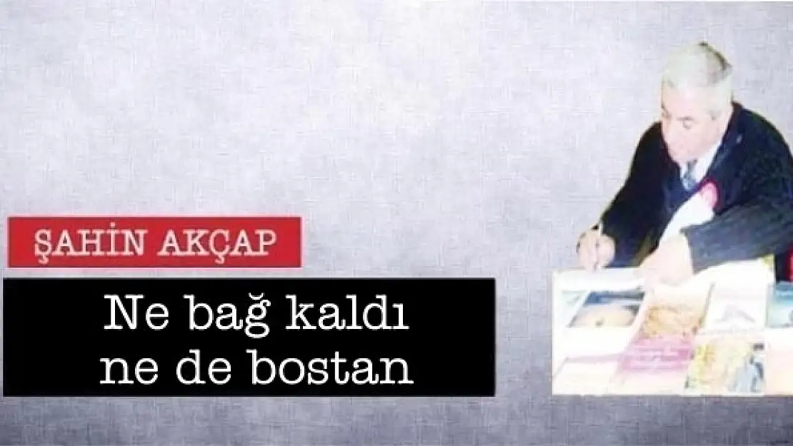 Ne bağ kaldı ne de bostan 