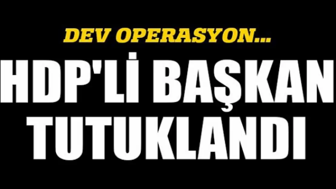 HDP'li Başkan tutuklandı