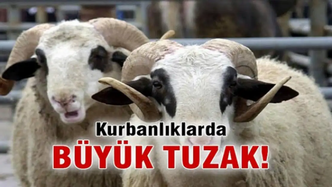 Kurbanlıklarda büyük tuzak!