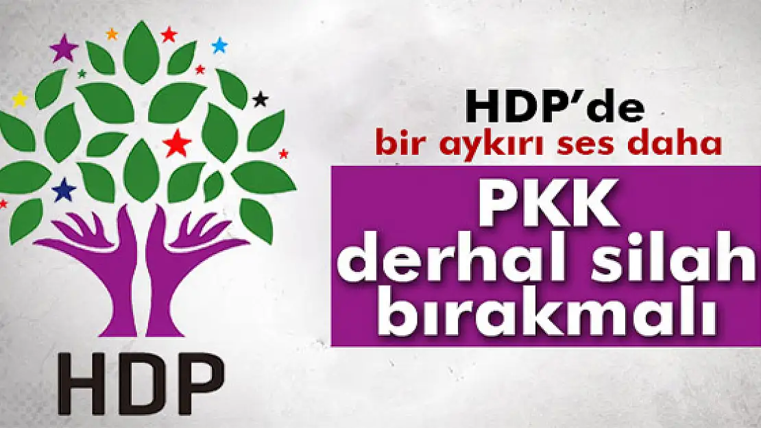 HDPde bir aykırı ses daha: PKK derhal silah bırakmalı