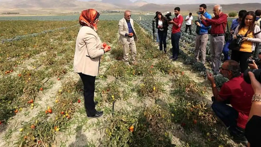 Gürpınar Belediyesi İddialı