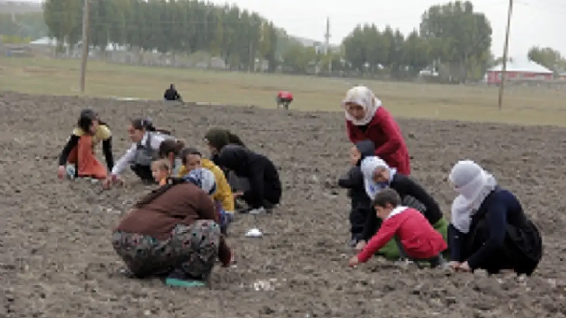 Kadınlar Kolektif Üretimin Temellerini Atıyor