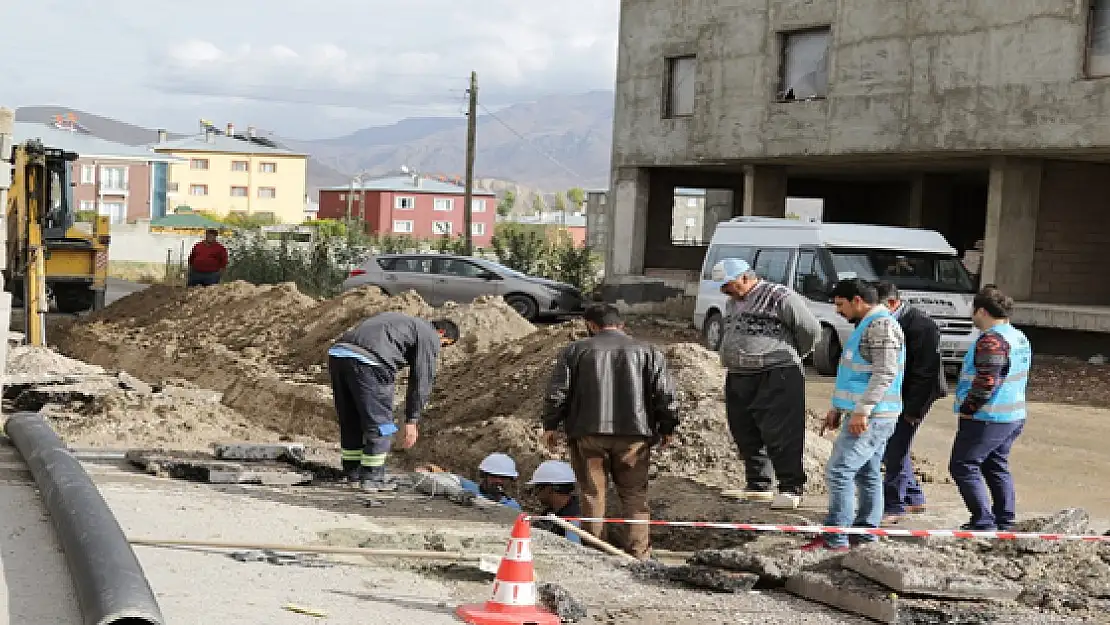 Vaskiden Hummalı Çalışma