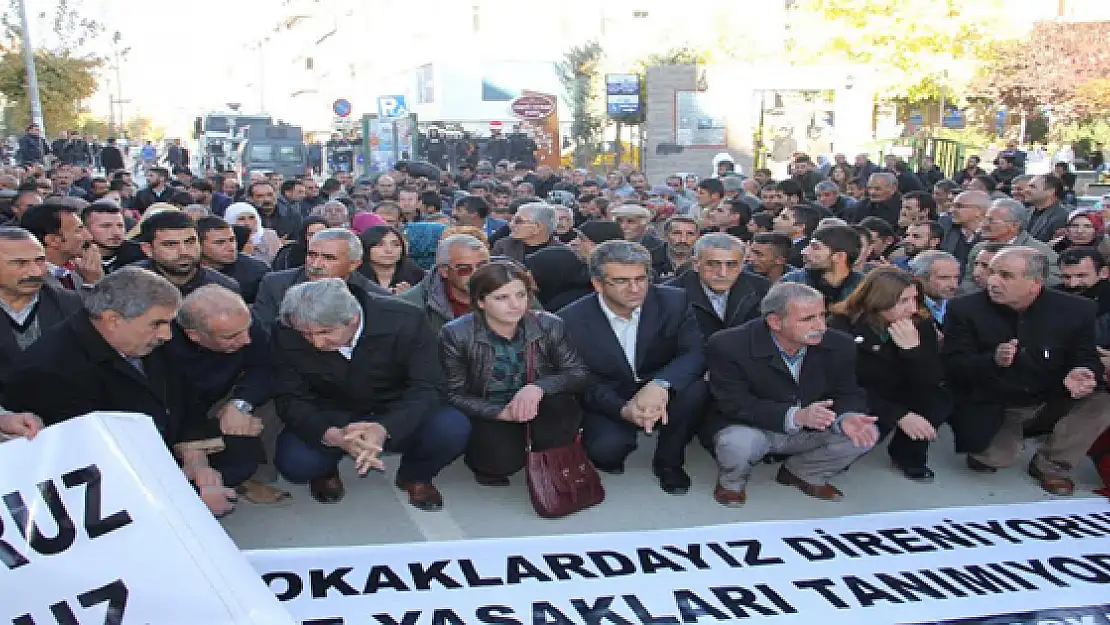 Silvan ve Erciş Olayları Vanda protesto edildi