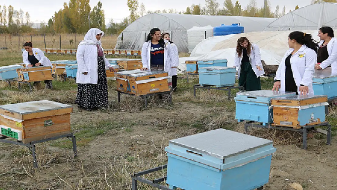 Kadınların Ürettiği 'Tuşbal' Marka Olma Yolunda