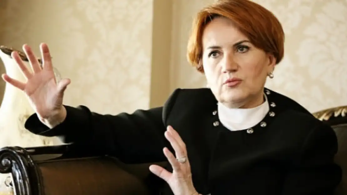 Meral Akşener'den olay Türkeş çıkışı! 25 Kasım'da...