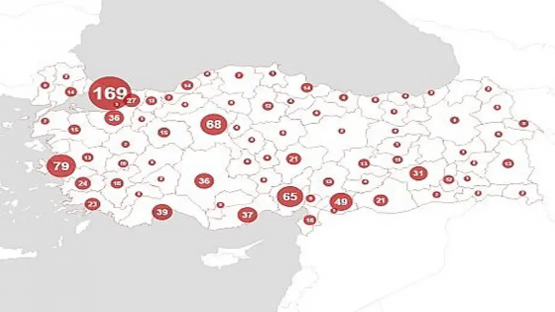 Son 5 Yılın Kadın Cinayeti Haritası