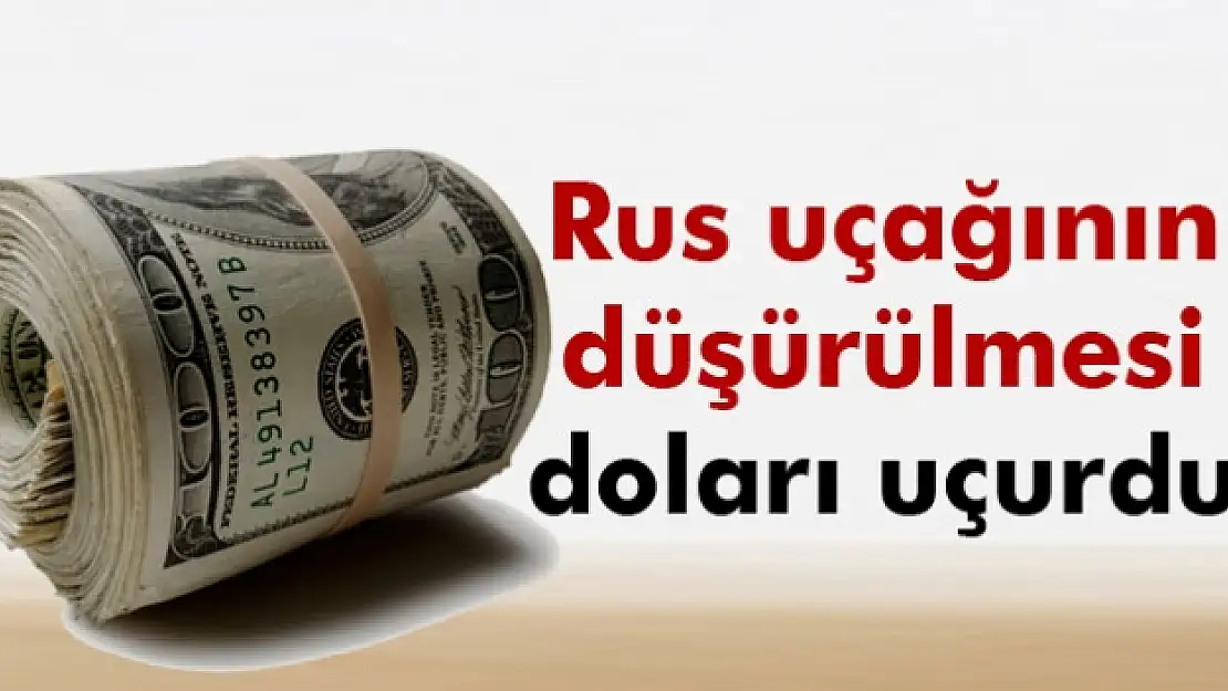 Dolar 2,90'ın üzerine çıktı