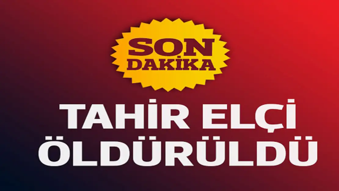 Diyarbakır Baro Başkanı Tahir Elçi öldürüldü