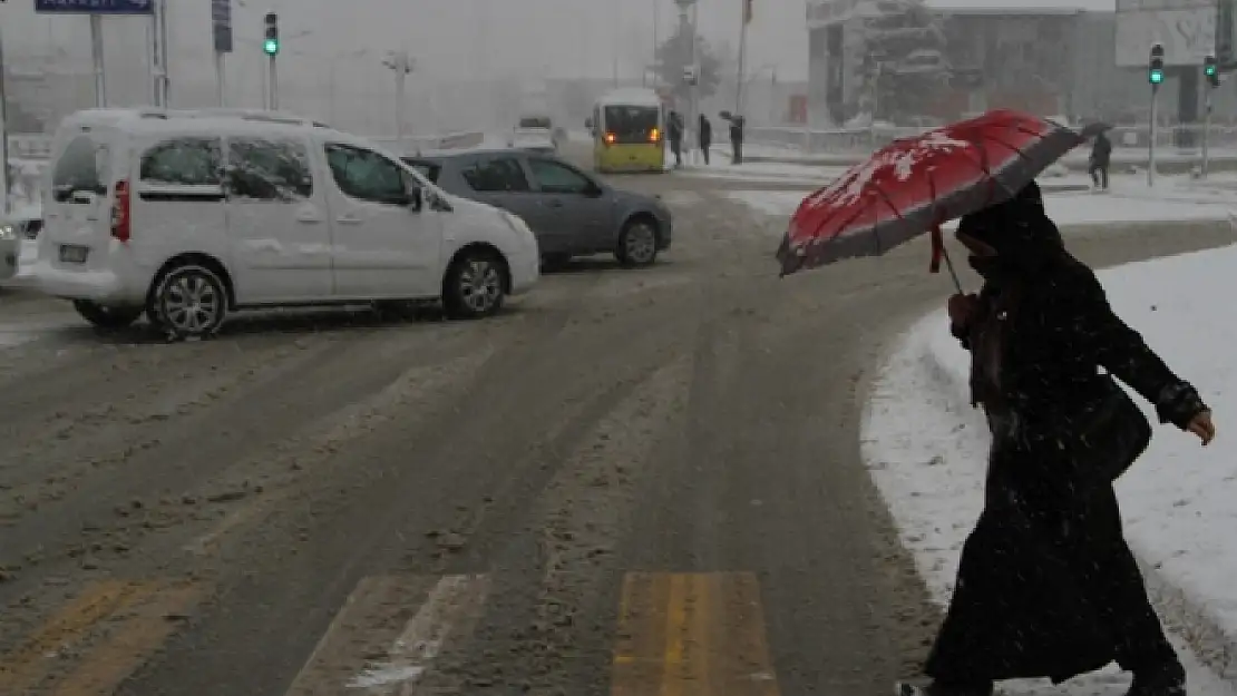 Vanda Kara Kış