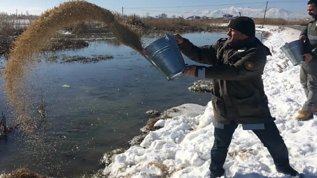 Yabani Hayvanlar İçin Doğaya Yem Bırakıldı