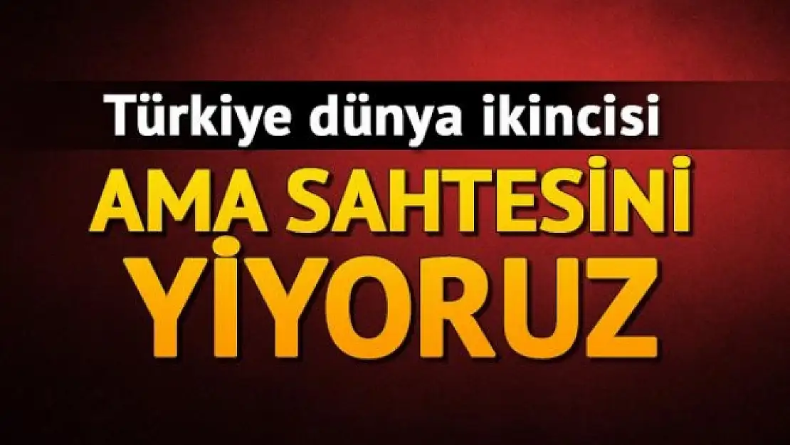 Türkiye balda dünya 2.si ama ihracatta ilk 15te bile değil