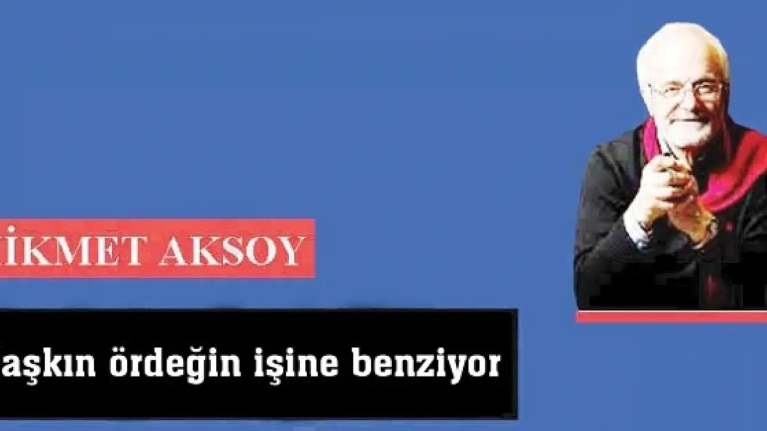 Şaşkın ördeğin işine benziyor