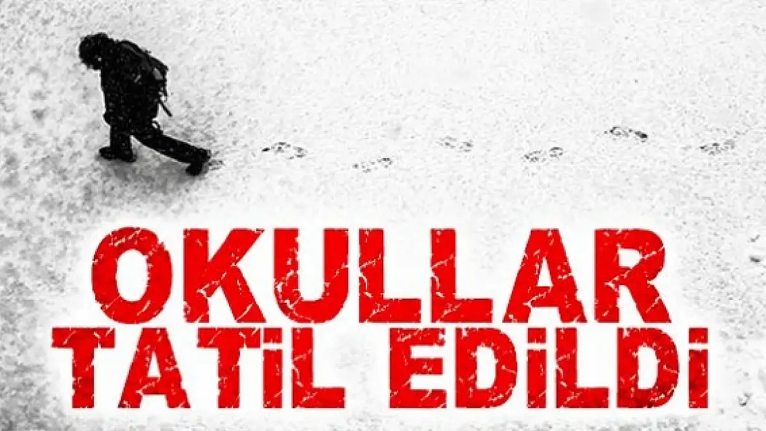 Ercişte Okullar Tatil Edildi