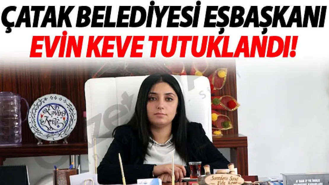 Eş Başkan Evin Keve Tutuklandı