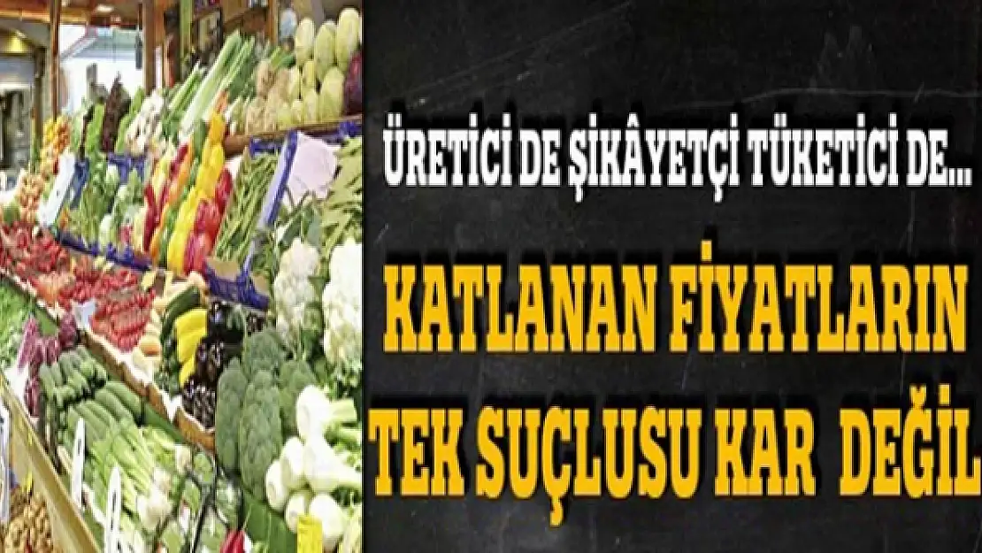 Katlanan fiyatların tek suçlusu kar değil