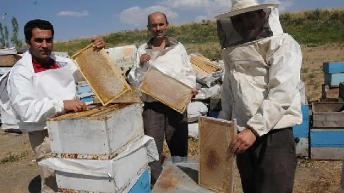 Vanda Arılı Kovan Destek Ödemeleri Başladı