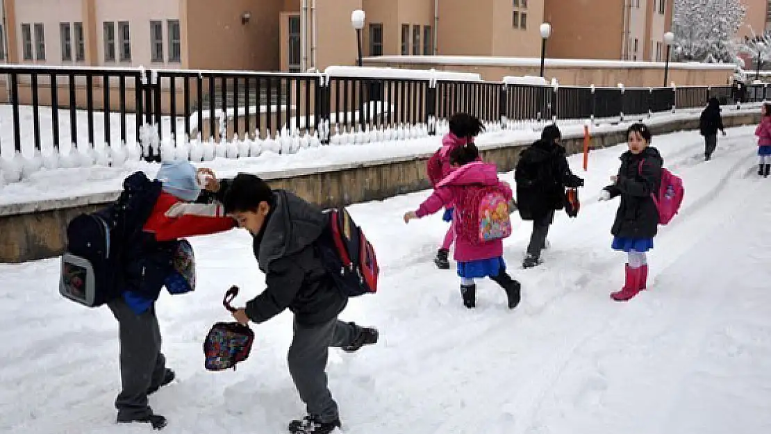 Çaldıranda Okullarda Kar Tatili