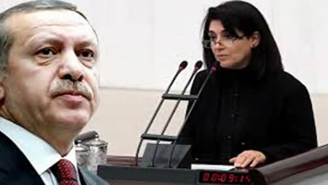 Leyla Zana Erdoğan ile görüşecek