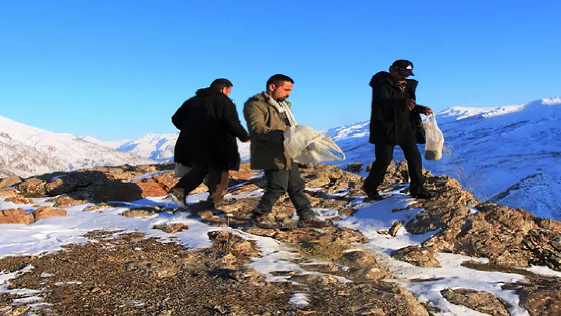 Çatakta Yaban Hayvanlarına Yem Bırakıldı