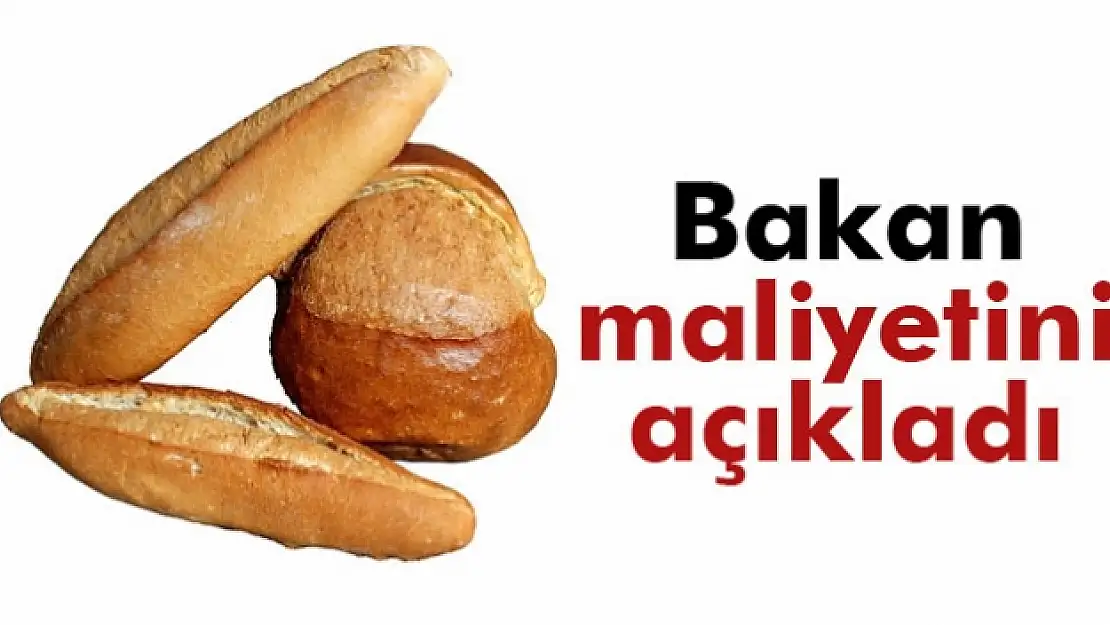 Bakan Çelik: 1 ekmeğin maliyeti 61 kuruş