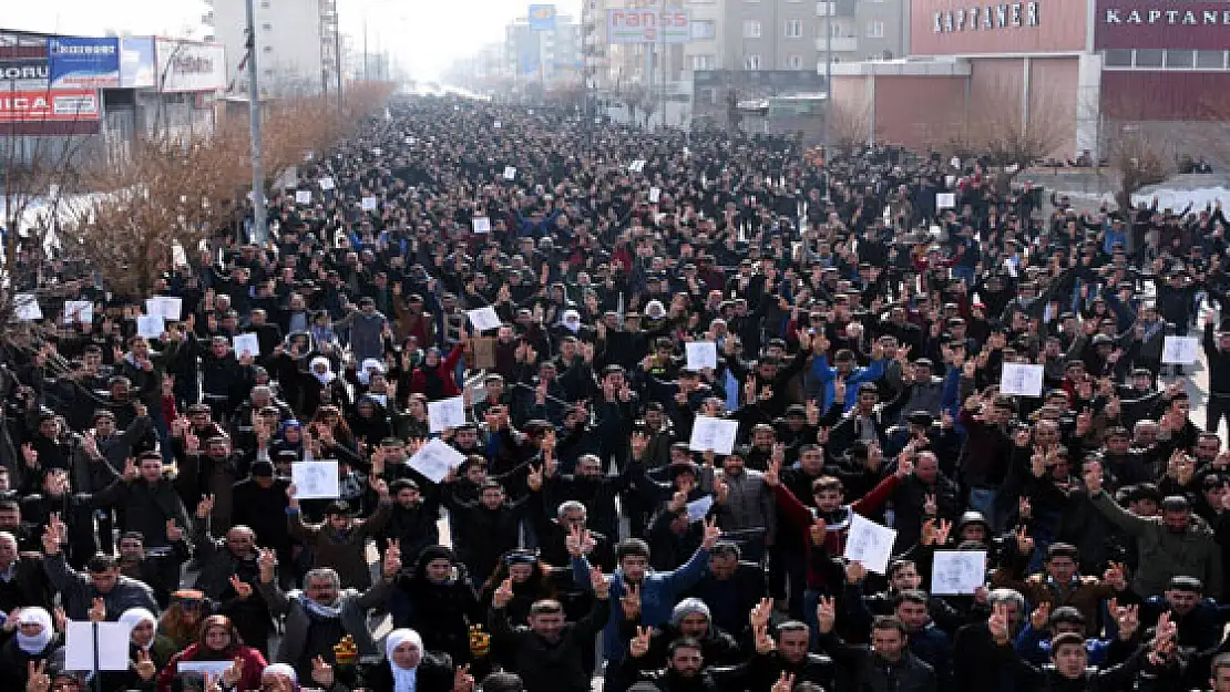 Vanda 15 Şubat Kınandı