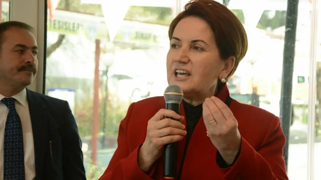 Meral Akşener'den Özdağ'a destek