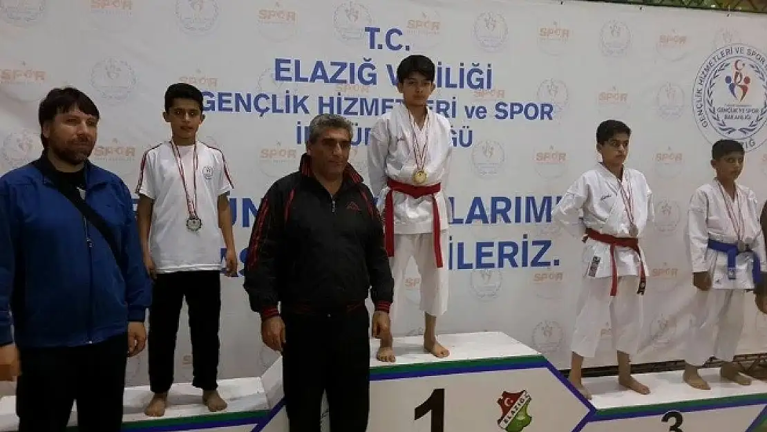 Vanlı Karateciler Türkiye Finalinde