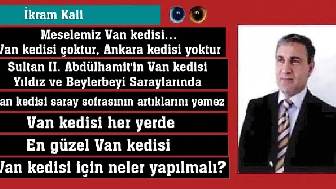 Meselemiz Van kedisi Van kedisi çoktur, Ankara kedisi yoktur