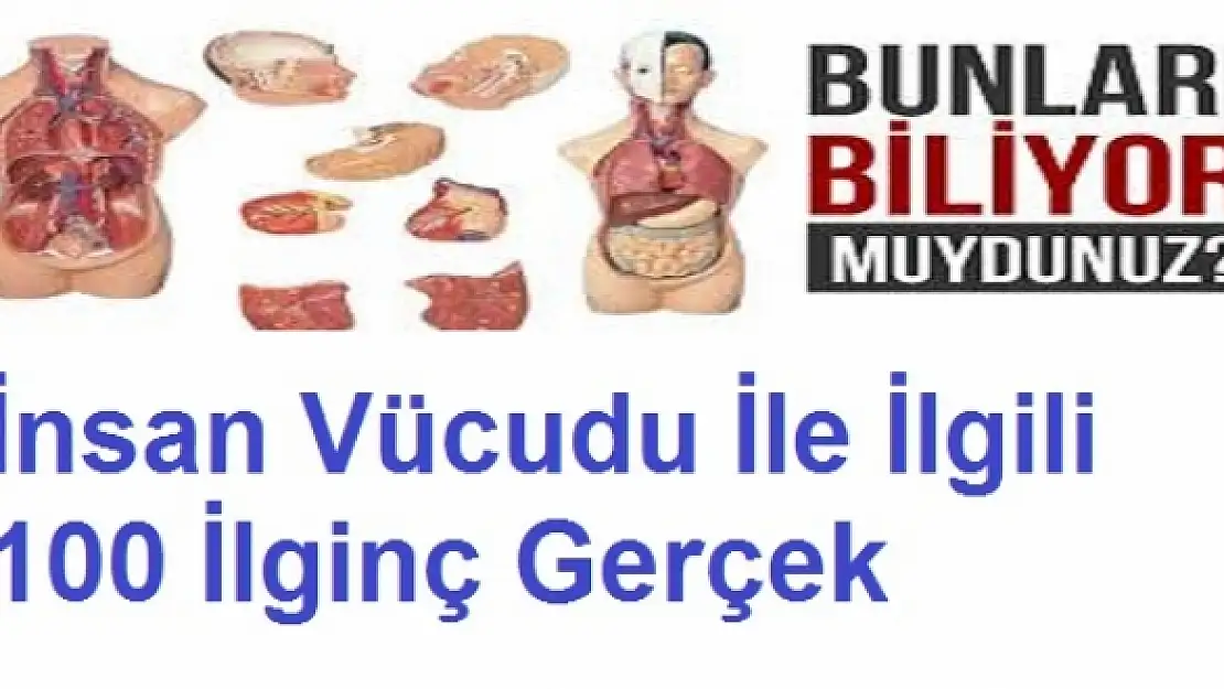 İnsan Vücuduyla ilgili 100 Şaşrtıcı Gerçek