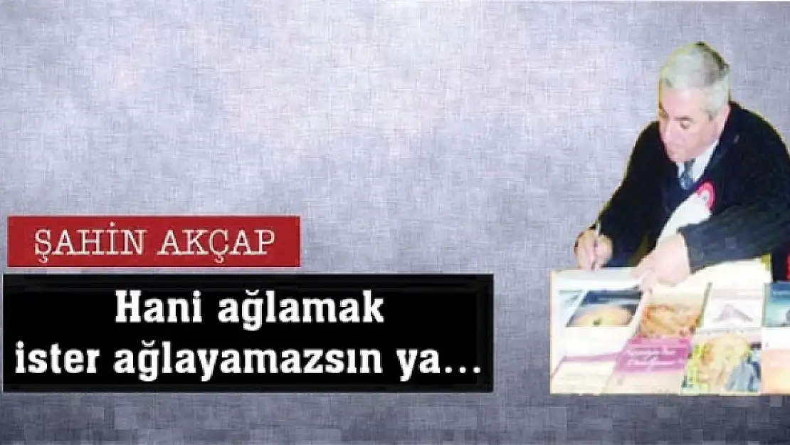 Hani ağlamak ister ağlayamazsın ya  