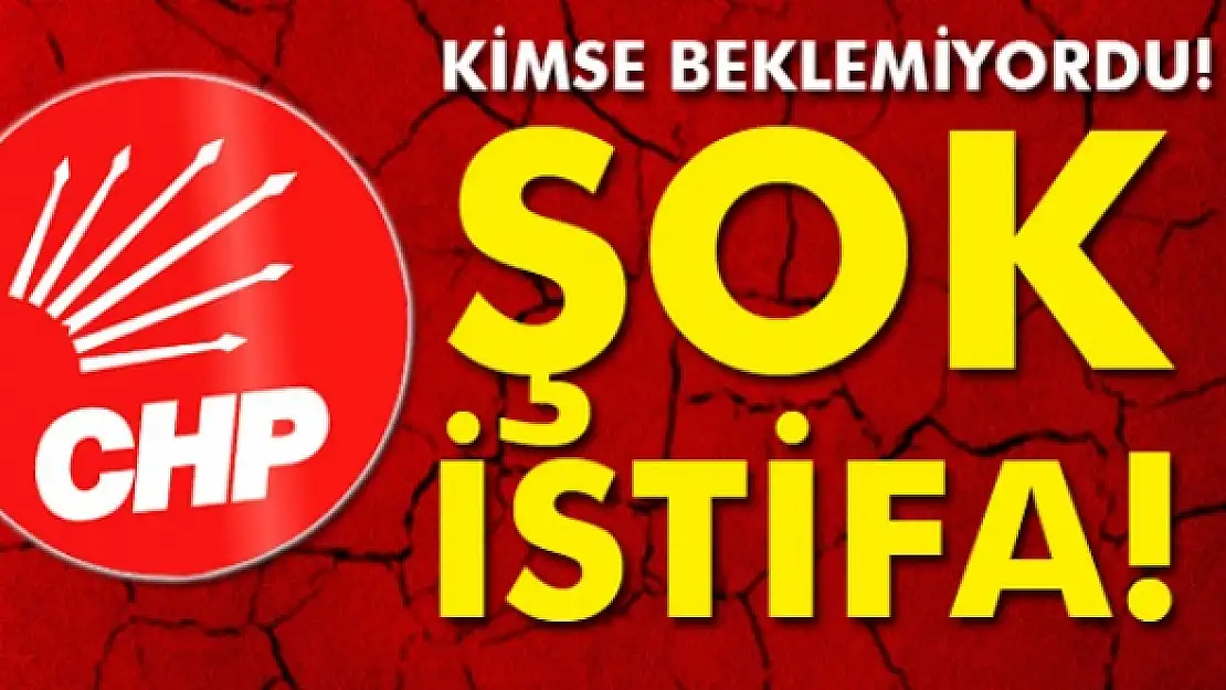 Aylin Kotil CHP'den istifa etti