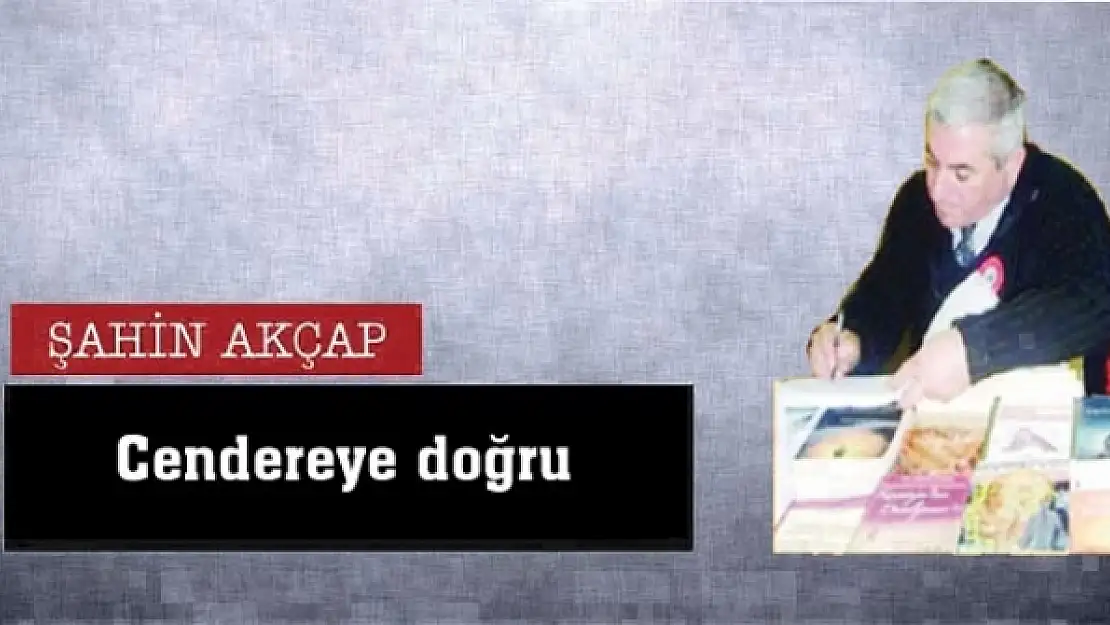 Cendereye doğru