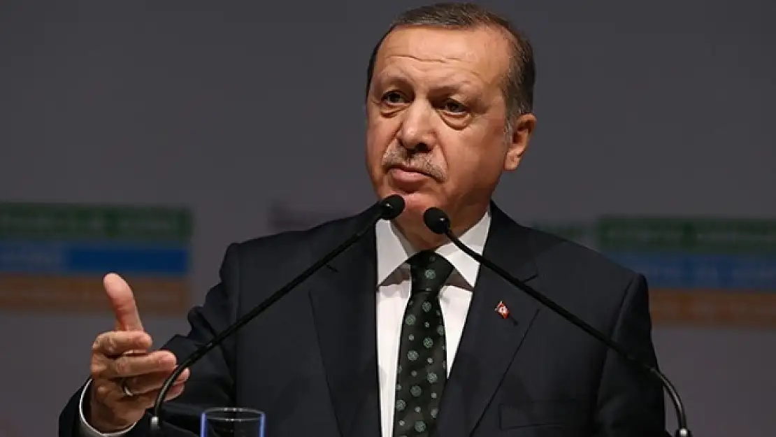 Tayyip Erdoğan'dan Ivan Bebek'e sert eleştiri