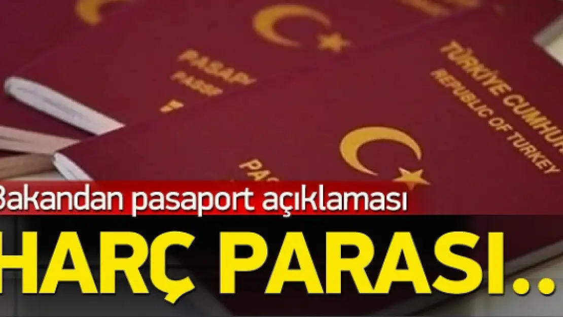 Bakan Bozkır'dan pasaport açıklaması