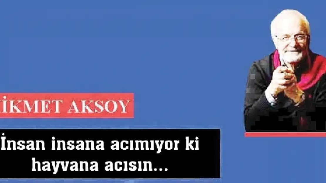 İnsan insana acımıyor ki hayvana acısın...