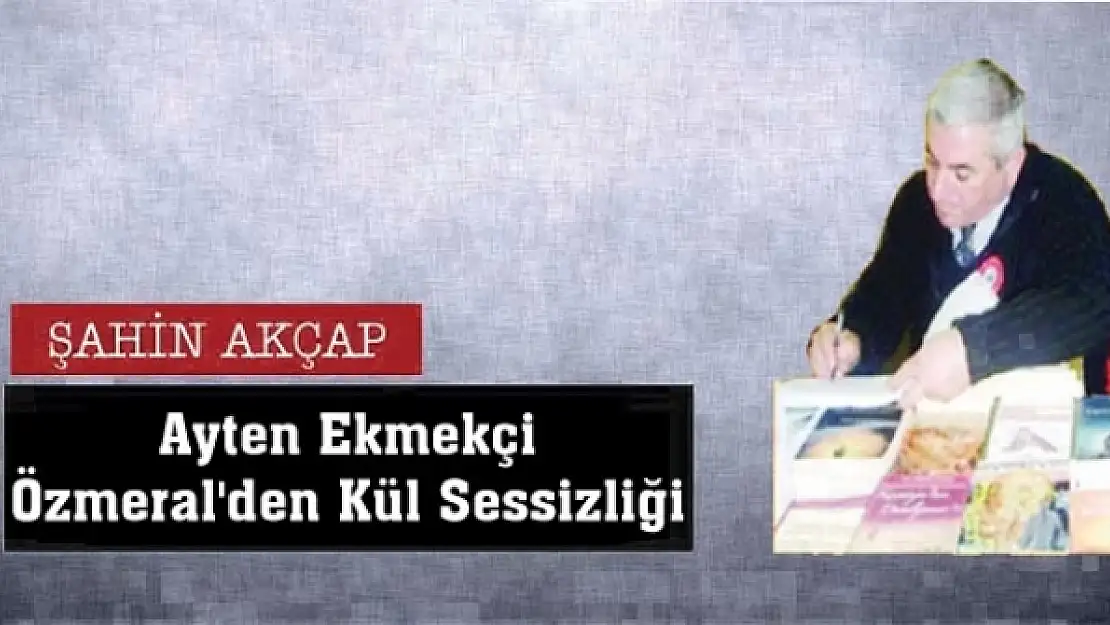 Ayten Ekmekçi  Özmeral'den Kül Sessizliği 