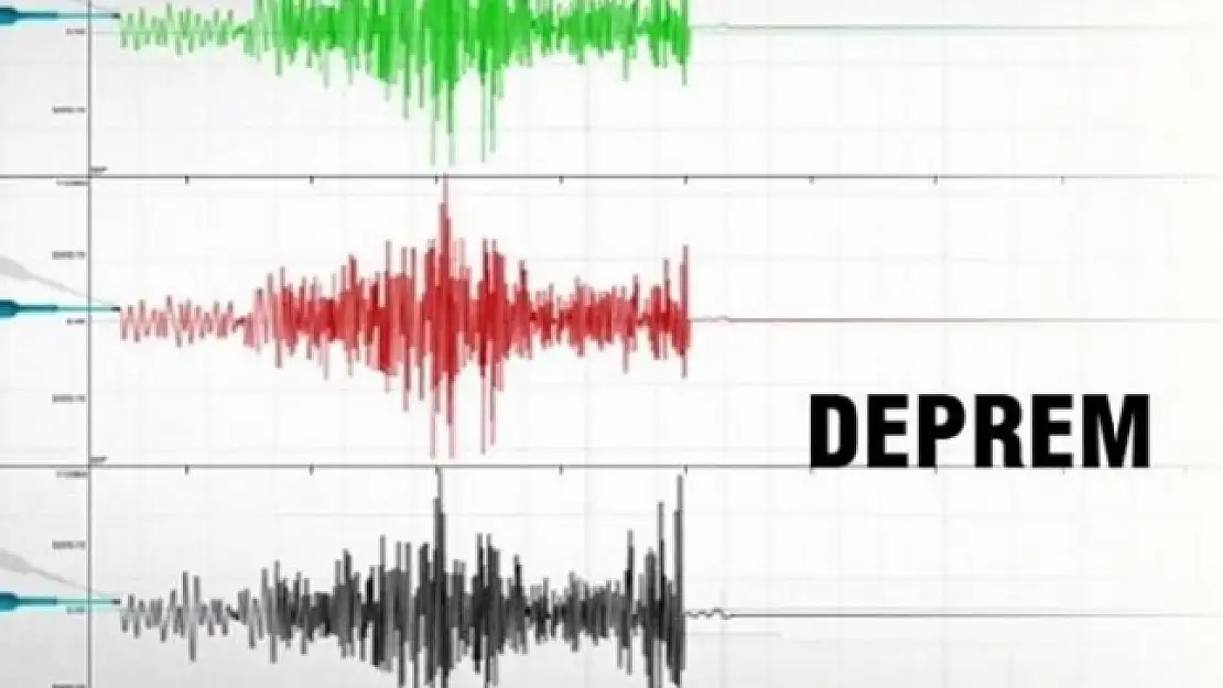 Japonya 6.2 ile sallandı