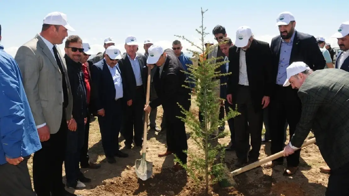 İlk fidanlar toprakla buluşturuldu 