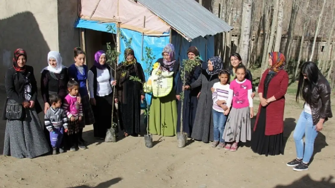 Başkale'de Fidan Dikme Projesi