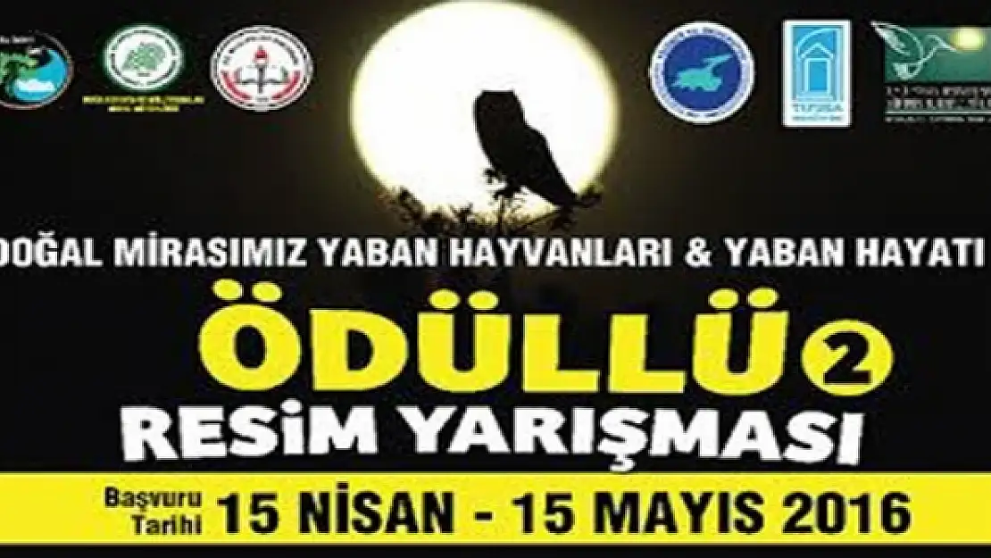 YYÜde Yaban Hayat Konulu Resim Yarışması