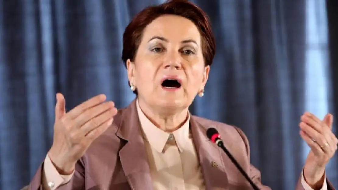 Meral Akşener'den Gezi itirafı