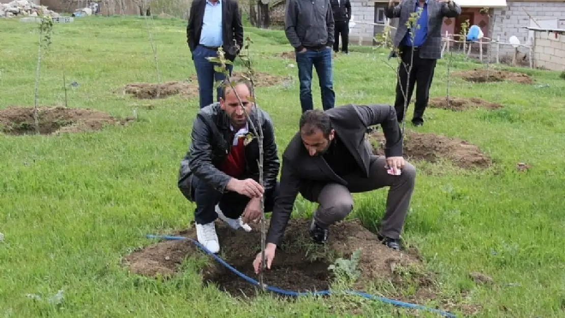 Başkale'de Ağaçlandırma Çalışmaları