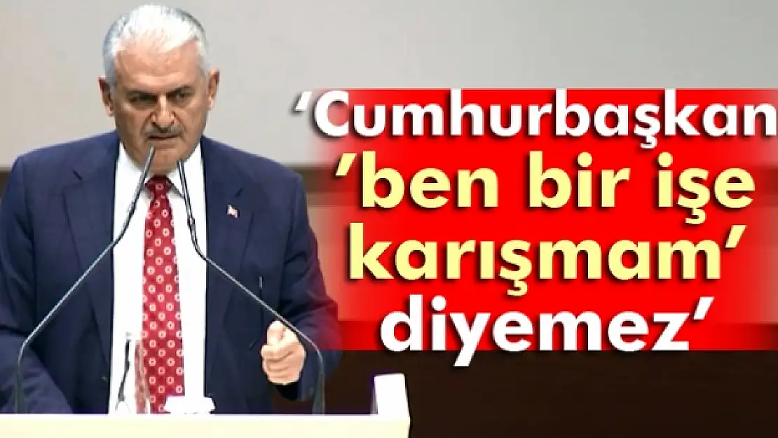 Yıldırım: 'Cumhurbaşkanı ben bir işe karışmam diyemez'