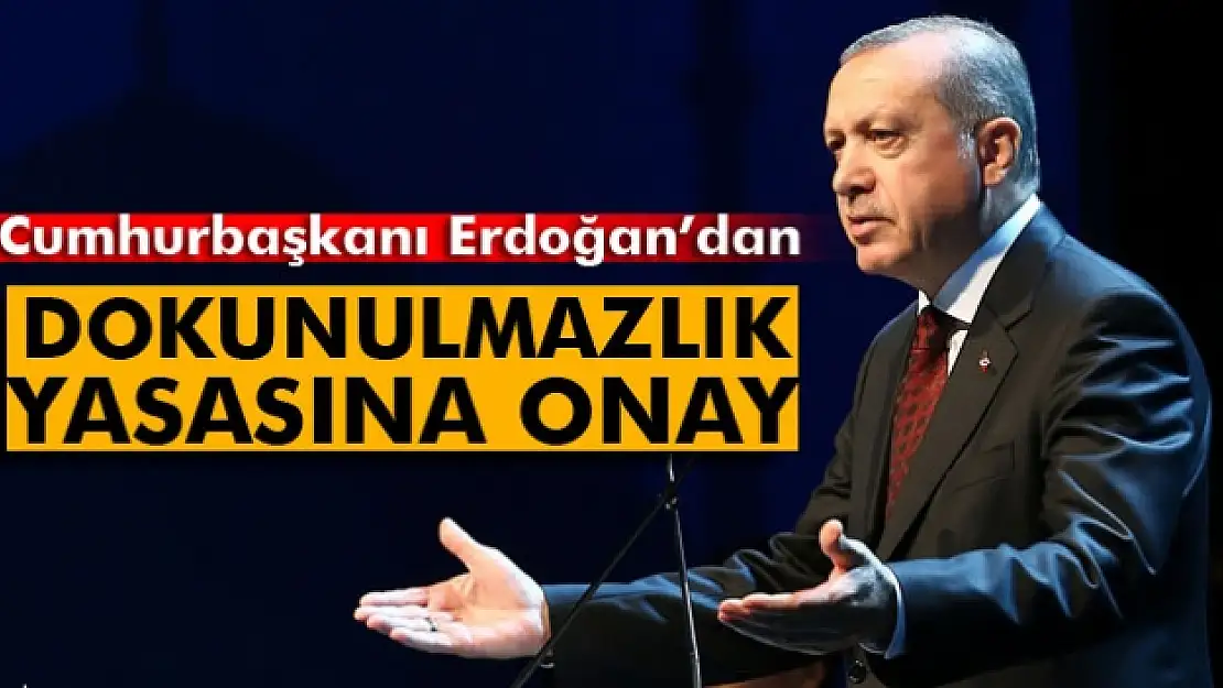 Erdoğan'dan dokunulmazlık yasasına onay