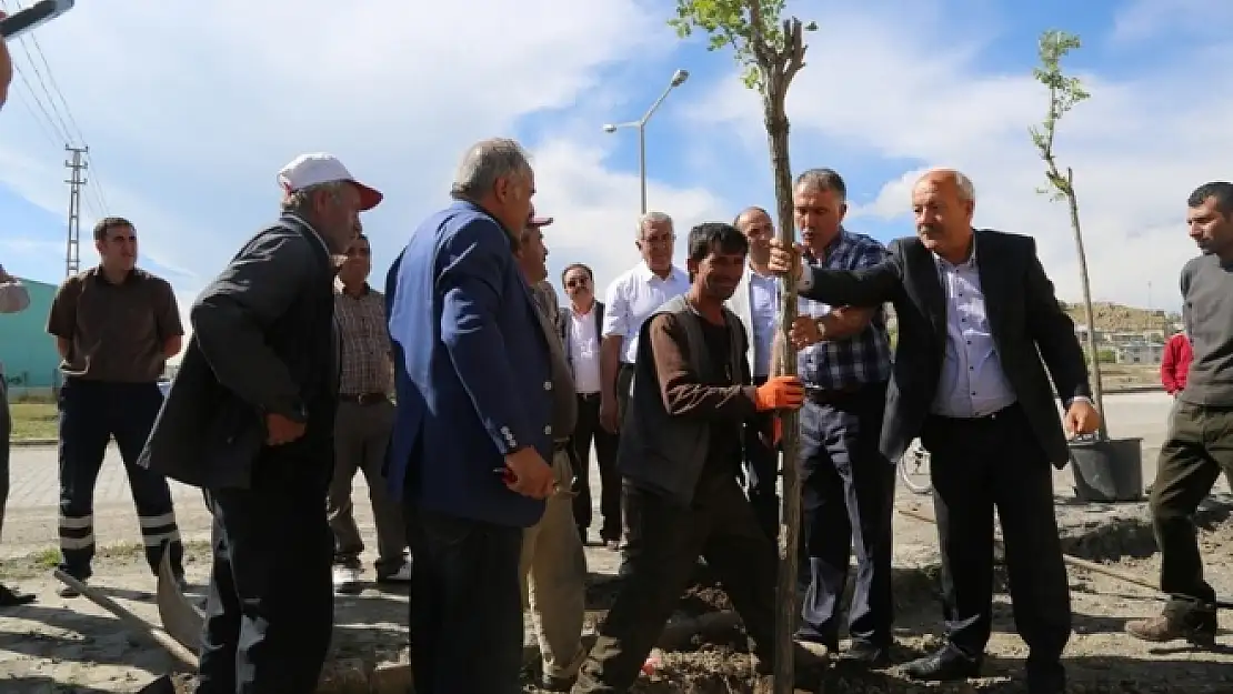 Tuşba Belediyesinden Ağaçlandırma Çalışmaları